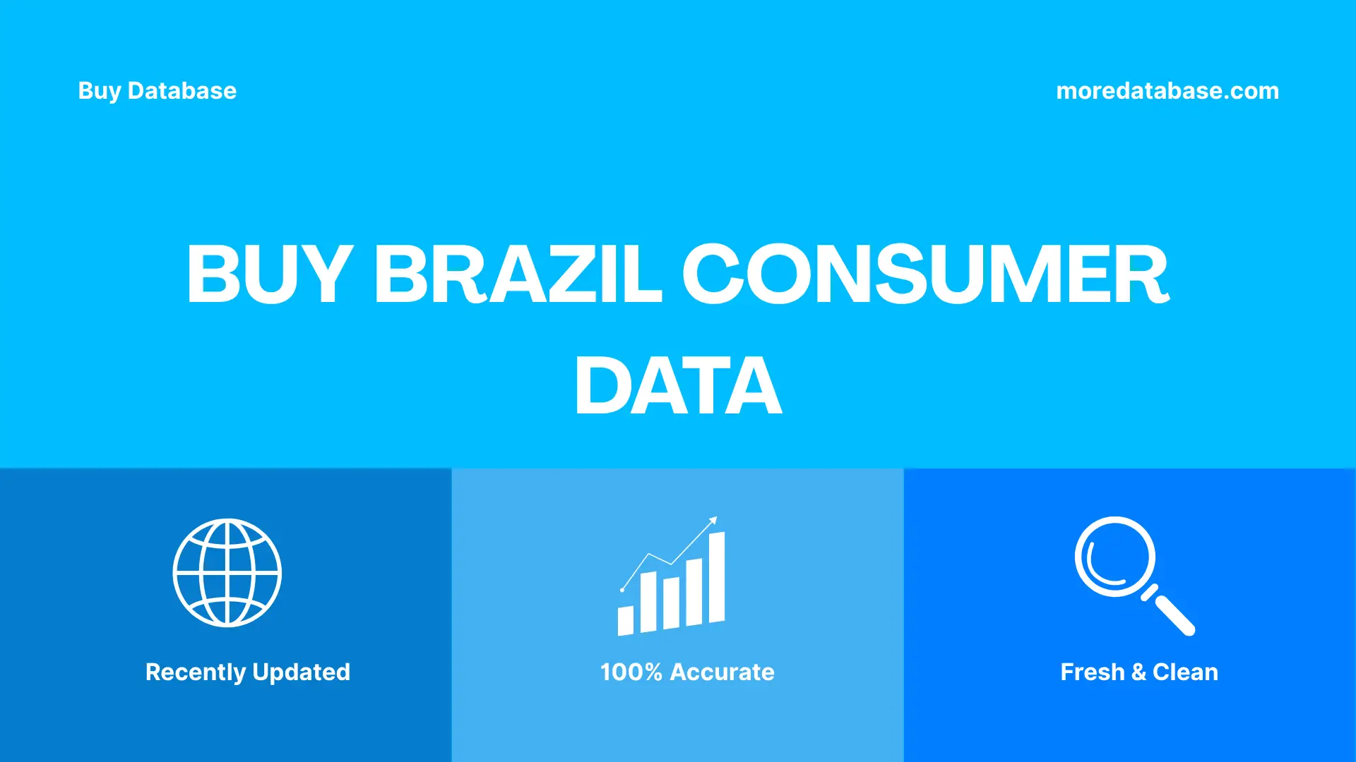 Buy Brazil Consumer Data